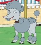 Sebastian Winkleplotz