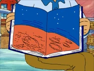 The surface of Mars as depicted in a book