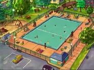 View of the entire pool