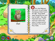 Owl info