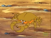 Crab