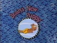 Brain's New Puppy (From And Now Let's Talk to Some Kids)