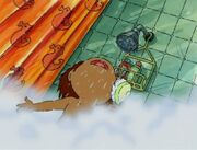 Singing in the shower