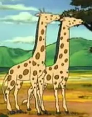 Giraffi