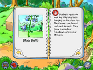 Blue Bells info