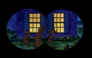 0201a 14 Binoculars.jpg (49 KB) Burglars?