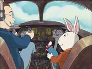 Buster and Bo on airplane