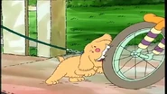 Biting Francine's tire