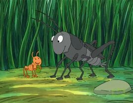 0809a 02 Cricket