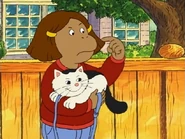 “You should take that dog to a shrink! He's wacko.”