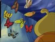 A moth amongst the butterflies.