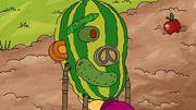 Frank gourd