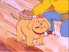 Perky.png