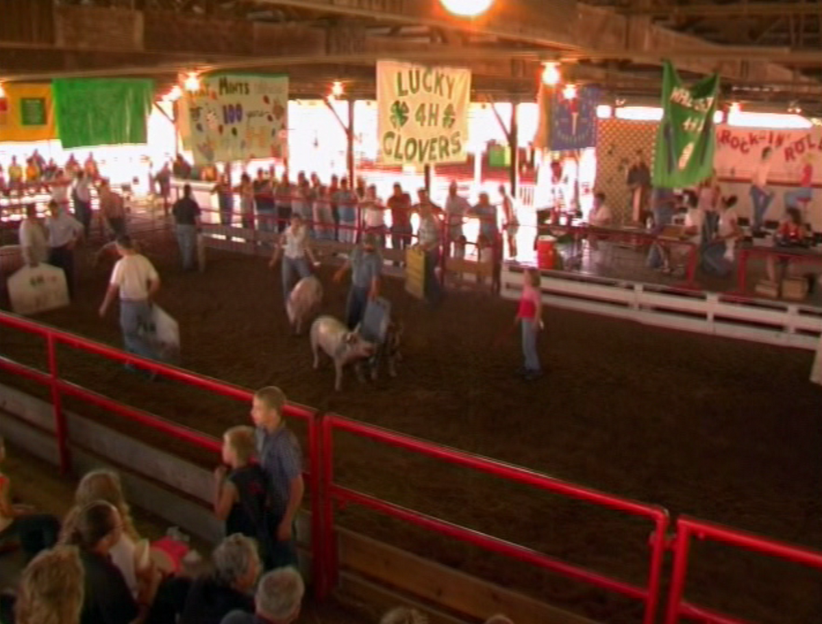 Starke County Fair Arthur Wiki Fandom