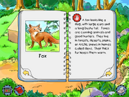 Fox info