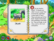 Skunk info