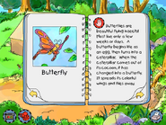 Butterfly info