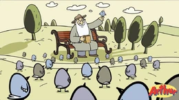 Ferns Flight of Fancy