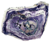 8673611A-9458-46B7-BDE2-59BC01010811.png