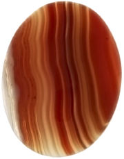 A976F5BC-581A-47AA-A49C-822F4ED704D4.png