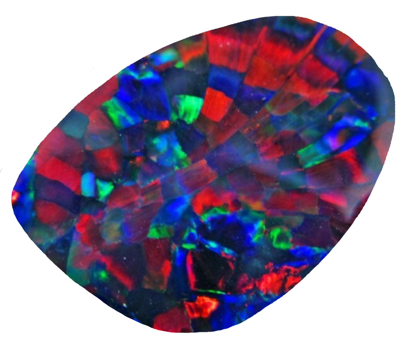 Harlequin Opal KJD Wiki Fandom