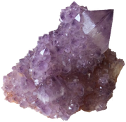 223E4227-7D79-437F-A956-DAFE3E201177.png