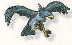 Falcon Hawk