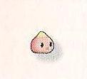 Peachy Pom