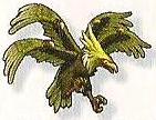 Roc