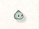 Kneaded Pom