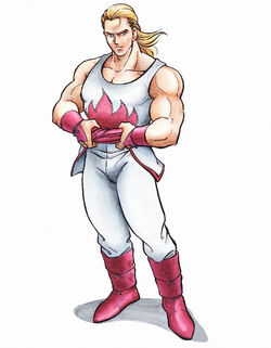 Fatal Fury 2 Gallery, Artworks of SNK Wiki