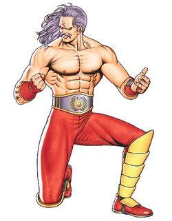 Fatal Fury Special - TFG Review / Artwork Gallery