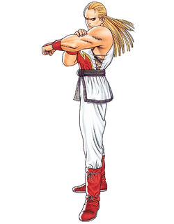Fatal Fury Special - TFG Review / Artwork Gallery