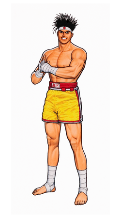 Fatal Fury 3 Gallery, Artworks of SNK Wiki