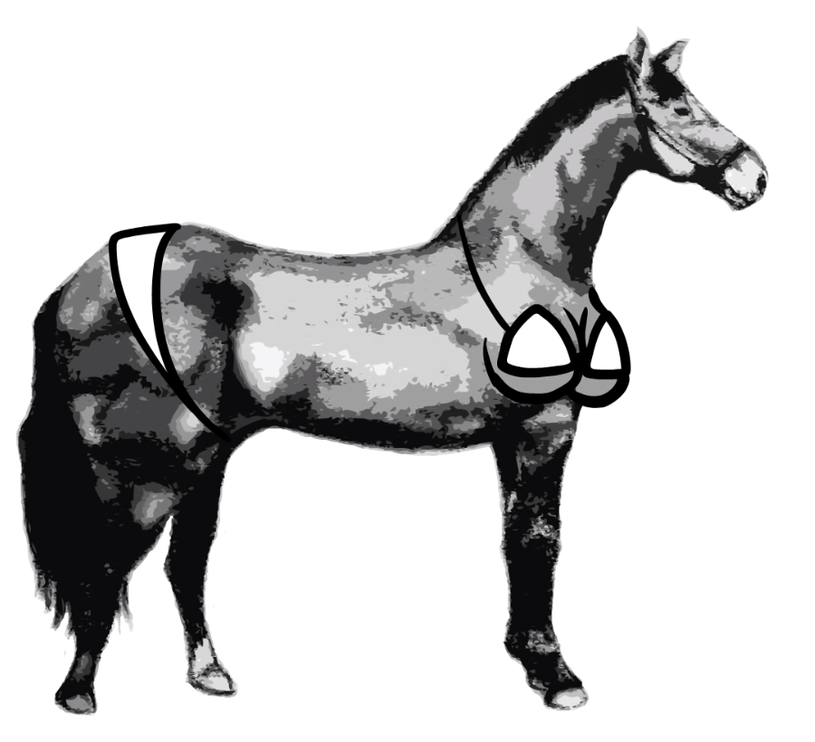 [Image: Sexy_Horse.png]