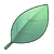 Basil (ToV)