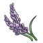 Lavender (ToS) PS3