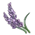 Lavender (ToV)