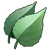 Sage (ToG)