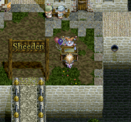 Sheeden