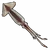 Squid (ToV) 1