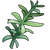 Rosemary (ToG)