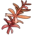 Red Rosemary (ToG)
