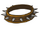 Spike Collar (ToV).png