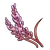 Red Lavender (ToG)