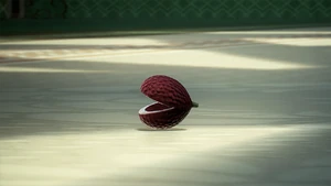 Fruit of Helgan as it appears in .