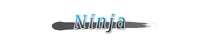 Ninja Logo (ToB) E