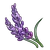 Lavender (ToG)