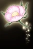 Brightblaze Flower