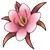 Red Saffron (ToV)